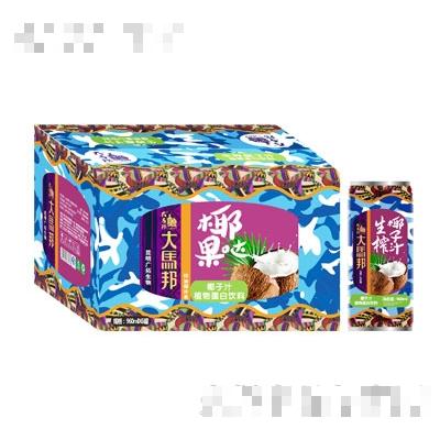 大馬邦椰子汁飲料960mlx6瓶