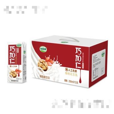 綠思康巧加仁核桃花生乳250mlX12