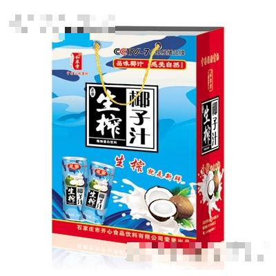 正宗生榨椰子汁禮盒裝240mlx20罐