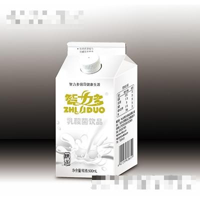 500ml智力多乳酸菌盒