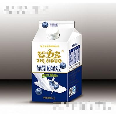 500ml智力多藍(lán)莓乳酸菌