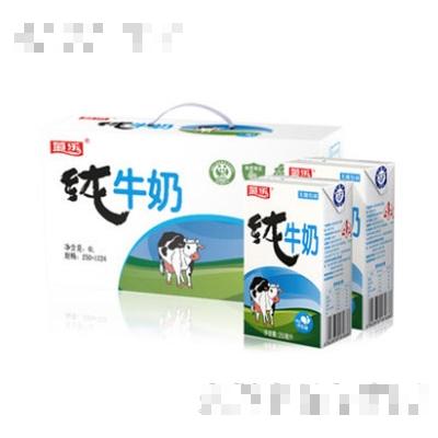 菊樂純牛奶250mlx24盒