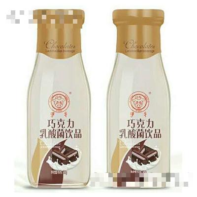 伊牛巧克力乳酸菌飲品
