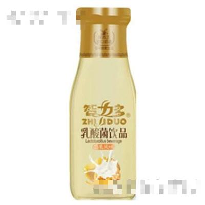 智力多乳酸菌飲品