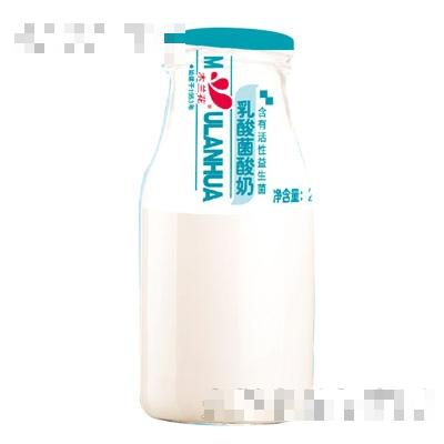 木蘭花乳酸菌酸奶200g
