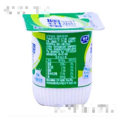 銀橋益生菌連杯酸奶發酵乳原味