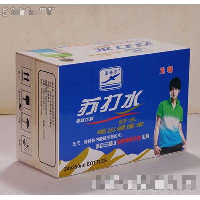 溪格爾蘇打水箱裝飲品