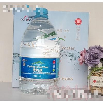 陜西嶺南礦泉水有限公司