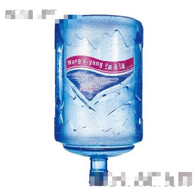 汪之洋蒸餾水-3加侖
