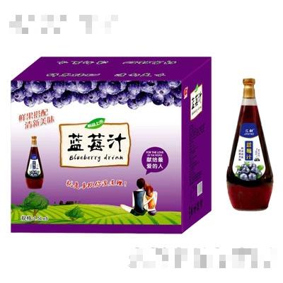 匯甜藍莓汁420mlX15