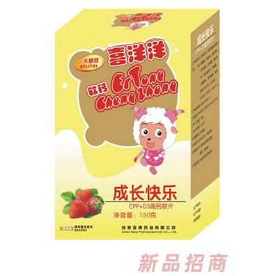 安徽全康藥業有限公司