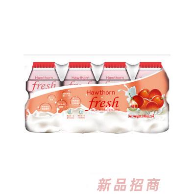 Hawthorn乳酸菌飲品山楂味