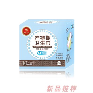 皇家之星 綿柔型產褥期衛生巾M碼10片裝