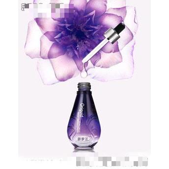 悠嵐達碧蘿芷