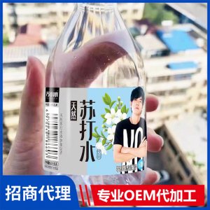 蘇小水天然蘇打水飲品 輕輕茉莉味