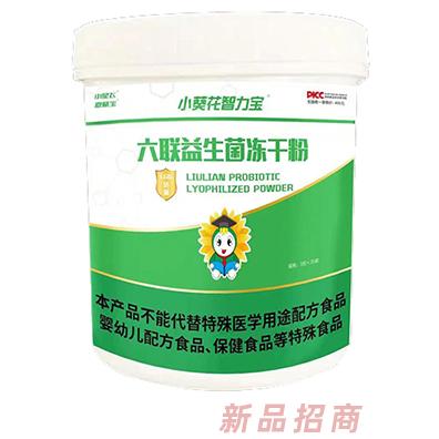 小葵花智力寶六聯益生菌凍干粉