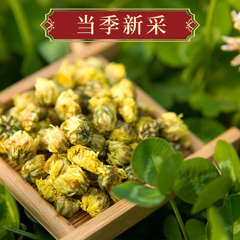 胎菊茶菊花茶桐鄉胎菊新貨散貨罐裝花茶優質廠家胎菊工廠一手貨源OEM代加工