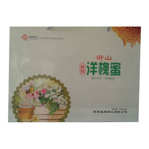 奉友牌沂山洋槐蜜480gx3.jpg
