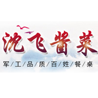 沈陽沈飛實業有限公司